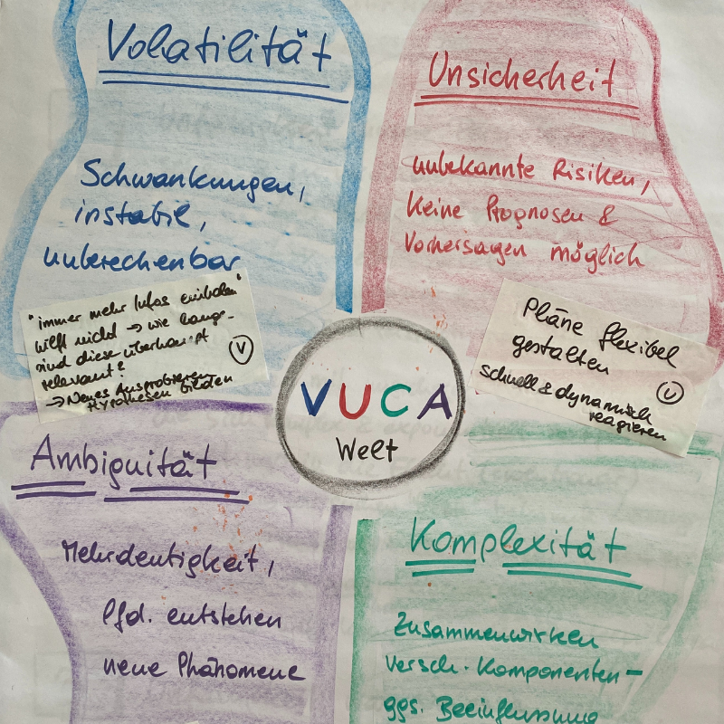Kunde 21 VUCA Welt erklärt